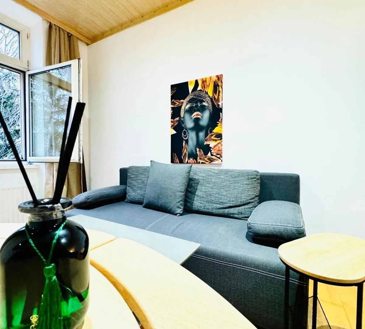 Cozy 4Br Apt For Up To 12P 10-Min To Fac Platz Vienna